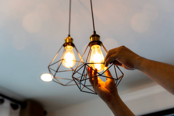 Best Ceiling Fan Installation Electrician  in Otsego, MN