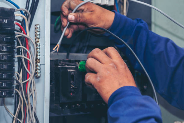Best Affordable Electrician  in Otsego, MN